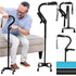 Vive Stand Assist Cane