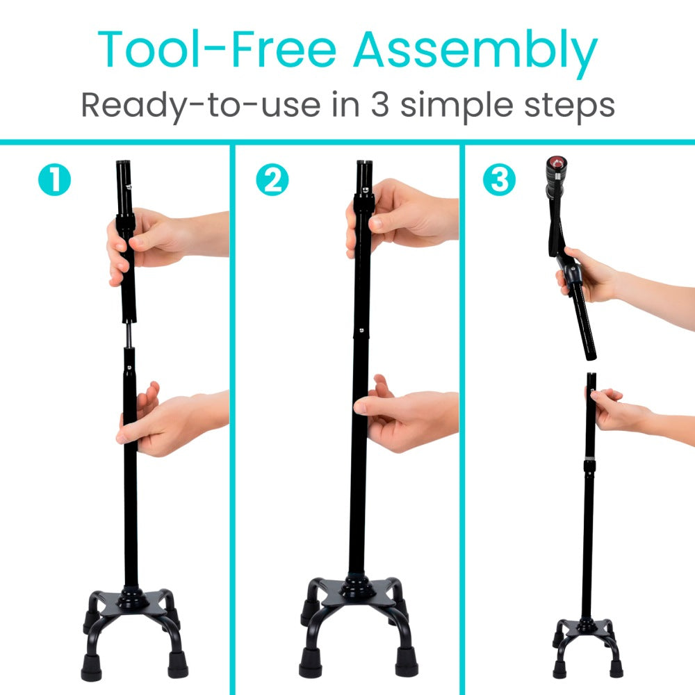 Vive Stand Assist Cane