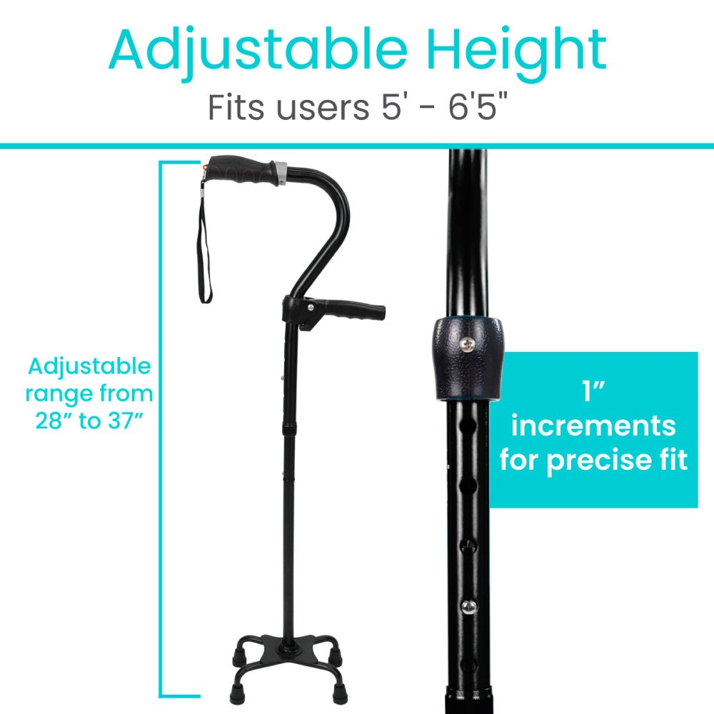 Vive Stand Assist Cane