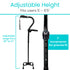 Vive Stand Assist Cane
